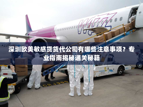 深圳欧美敏感货货代公司有哪些注意事项？专业指南揭秘通关秘籍