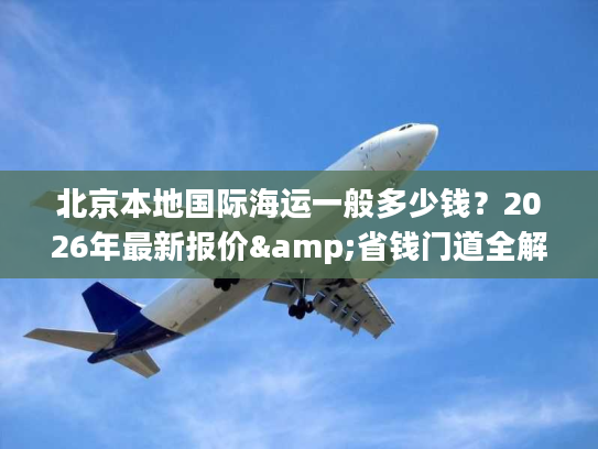 北京本地国际海运一般多少钱？2026年最新报价&省钱门道全解析