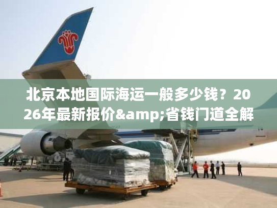 北京本地国际海运一般多少钱？2026年最新报价&省钱门道全解析