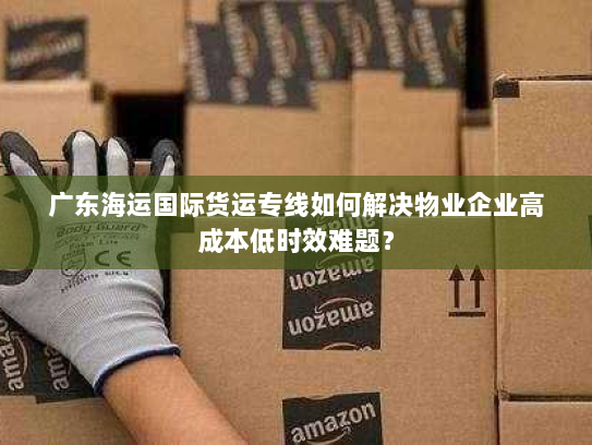广东海运国际货运专线如何解决物业企业高成本低时效难题? 广东海运国际货运专线如何解决物业企业高成本低时效难题?