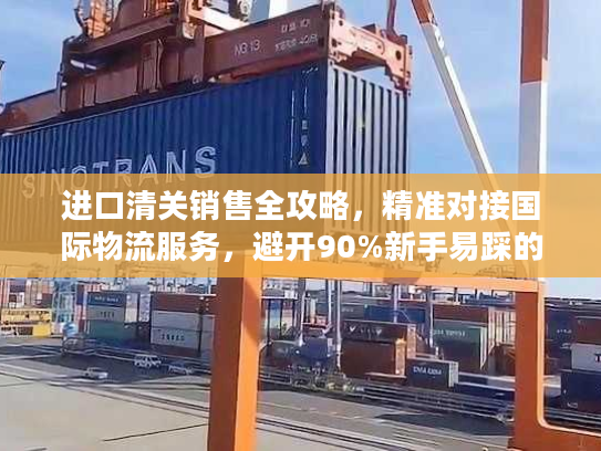 进口清关销售全攻略，精准对接国际物流服务，避开90%新手易踩的清关坑