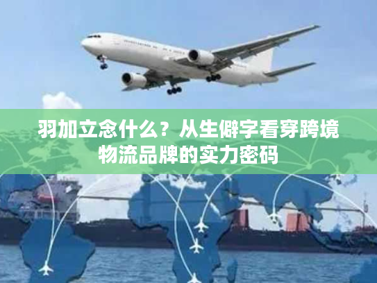 羽加立念什么？从生僻字看穿跨境物流品牌的实力密码