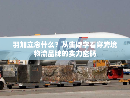 羽加立念什么？从生僻字看穿跨境物流品牌的实力密码