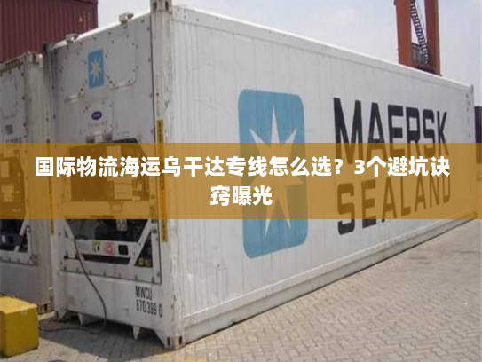 国际物流海运乌干达专线怎么选？3个避坑诀窍曝光