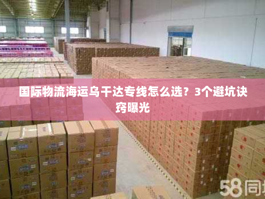 国际物流海运乌干达专线怎么选？3个避坑诀窍曝光