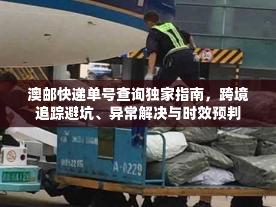 澳邮快递单号查询独家指南，跨境追踪避坑、异常解决与时效预判