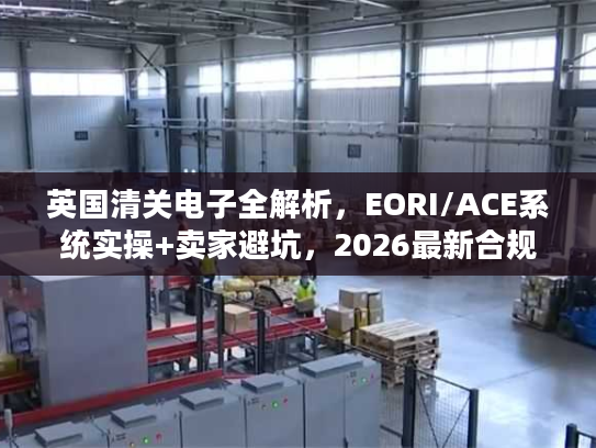 英国清关电子全解析，EORI/ACE系统实操+卖家避坑，2026最新合规指南