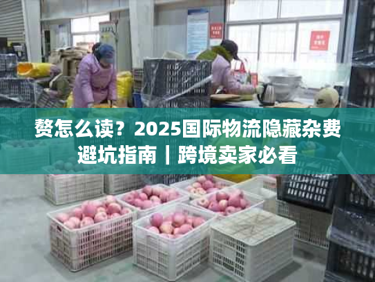赘怎么读？2025国际物流隐藏杂费避坑指南｜跨境卖家必看