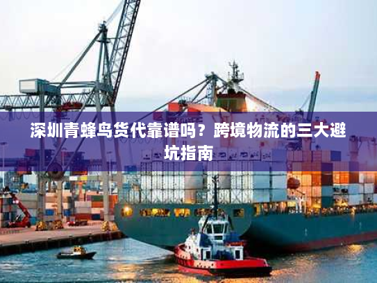 深圳青蜂鸟货代靠谱吗？跨境物流的三大避坑指南