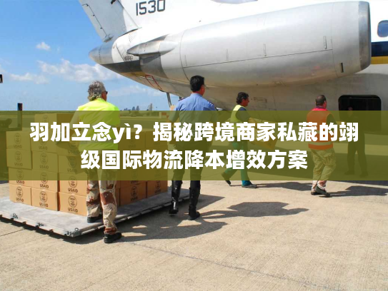 羽加立念yì?揭秘跨境商家私藏的翊级国际物流降本增效方案 羽加立念yì?揭秘跨境商家私藏的翊级国际物流降本增效方案