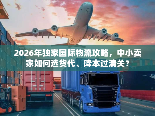 2026年独家国际物流攻略，中小卖家如何选货代、降本过清关？