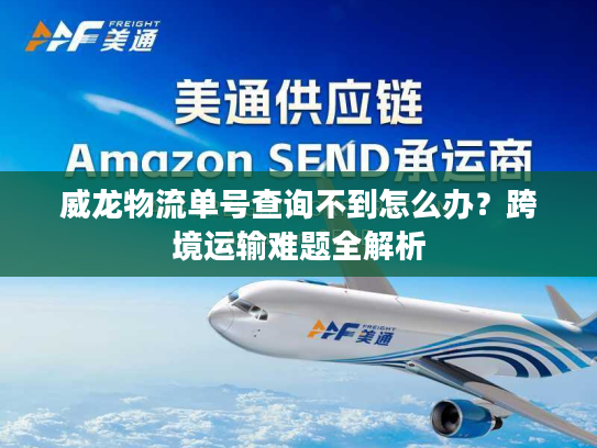 威龙物流单号查询不到怎么办?跨境运输难题全解析 威龙物流单号查询不到怎么办?跨境运输难题全解析