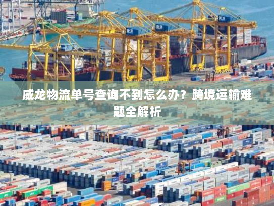 威龙物流单号查询不到怎么办?跨境运输难题全解析 威龙物流单号查询不到怎么办?跨境运输难题全解析
