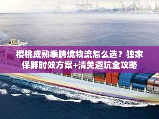 樱桃成熟季跨境物流怎么选？独家保鲜时效方案+清关避坑全攻略