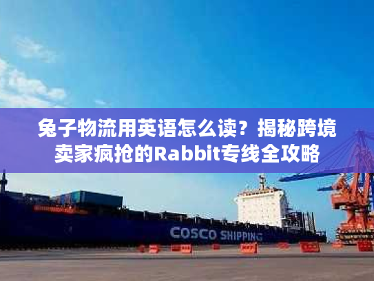 兔子物流用英语怎么读?揭秘跨境卖家疯抢的Rabbit专线全攻略 兔子物流用英语怎么读?揭秘跨境卖家疯抢的Rabbit专线全攻略