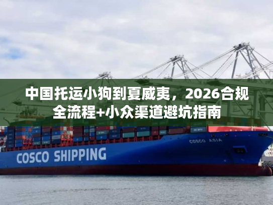 中国托运小狗到夏威夷，2026合规全流程+小众渠道避坑指南