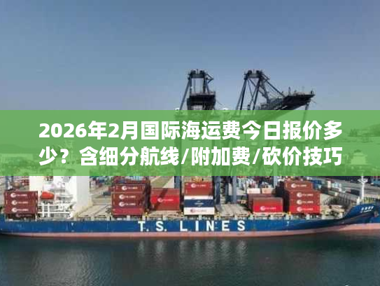 2026年2月国际海运费今日报价多少？含细分航线/附加费/砍价技巧