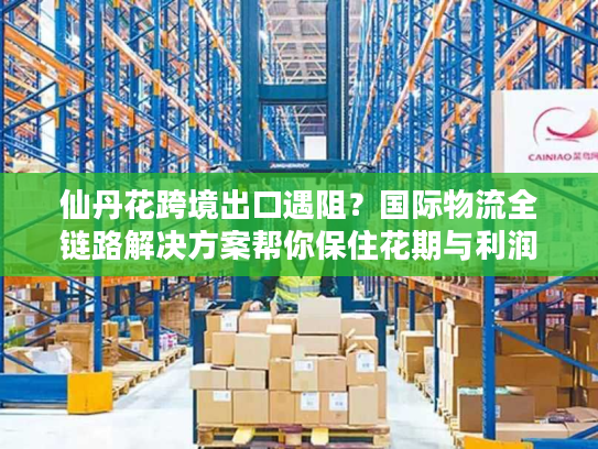 仙丹花跨境出口遇阻？国际物流全链路解决方案帮你保住花期与利润