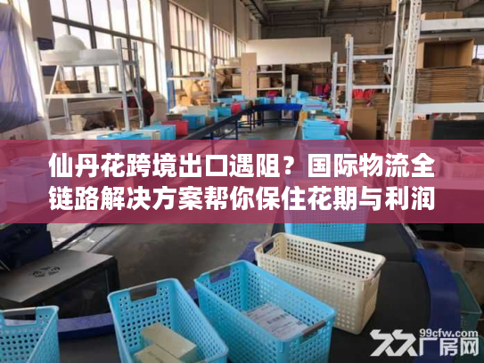 仙丹花跨境出口遇阻？国际物流全链路解决方案帮你保住花期与利润