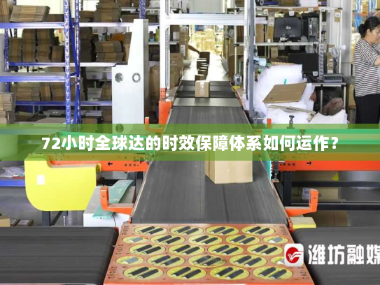 72小时全球达的时效保障体系如何运作? 72小时全球达的时效保障体系如何运作?