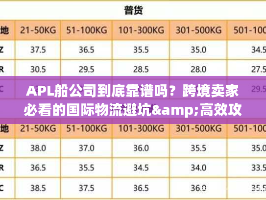 APL船公司到底靠谱吗？跨境卖家必看的国际物流避坑&高效攻略