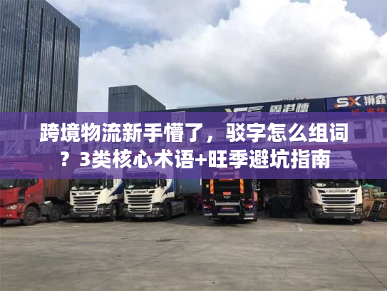 跨境物流新手懵了，驳字怎么组词？3类核心术语+旺季避坑指南