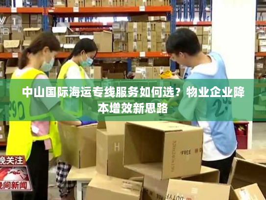 中山国际海运专线服务如何选？物业企业降本增效新思路