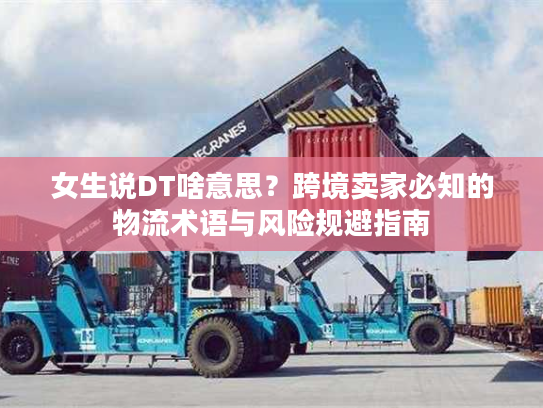 女生说DT啥意思？跨境卖家必知的物流术语与风险规避指南