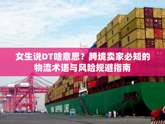 女生说DT啥意思？跨境卖家必知的物流术语与风险规避指南