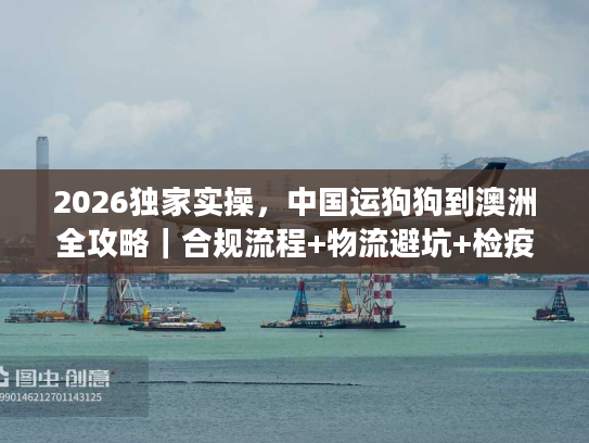2026独家实操，中国运狗狗到澳洲全攻略｜合规流程+物流避坑+检疫指南