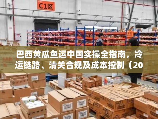 巴西黄瓜鱼运中国实操全指南，冷运链路、清关合规及成本控制（2026独家版）