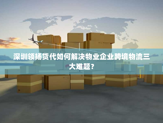 深圳领扬货代如何解决物业企业跨境物流三大难题? 深圳领扬货代如何解决物业企业跨境物流三大难题?