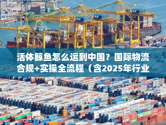 活体鲸鱼怎么运到中国？国际物流合规+实操全流程（含2025年行业数据）