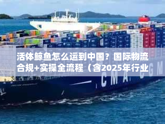活体鲸鱼怎么运到中国？国际物流合规+实操全流程（含2025年行业数据）