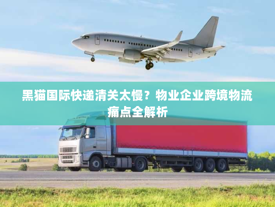 黑猫国际快递清关太慢？物业企业跨境物流痛点全解析