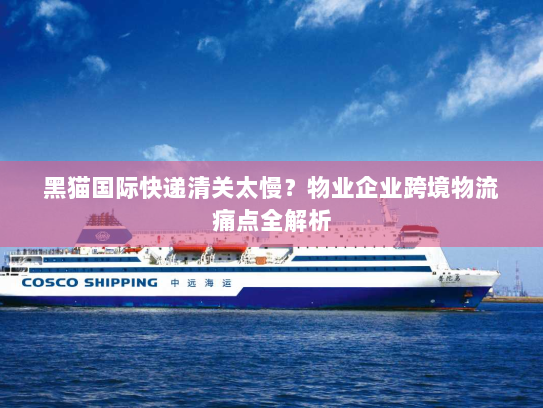 黑猫国际快递清关太慢？物业企业跨境物流痛点全解析