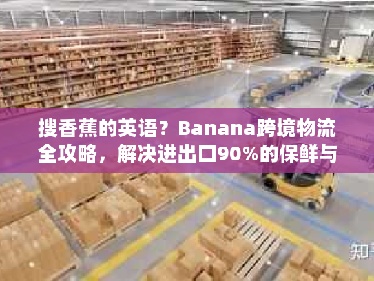 搜香蕉的英语?Banana跨境物流全攻略,解决进出口90%的保鲜与清关痛点 搜香蕉的英语?Banana跨境物流全攻略,解决进出口90%的保鲜与清关痛点