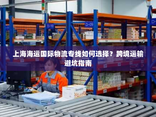 上海海运国际物流专线如何选择?跨境运输避坑指南 上海海运国际物流专线如何选择?跨境运输避坑指南