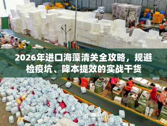 2026年进口海藻清关全攻略，规避检疫坑、降本提效的实战干货