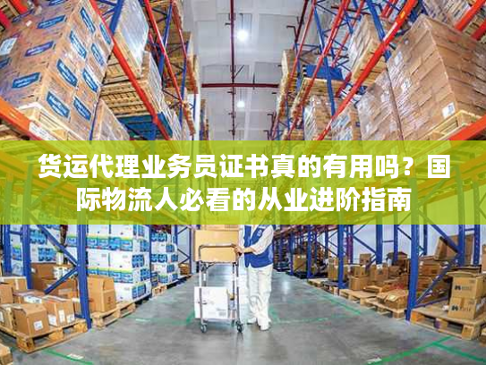 货运代理业务员证书真的有用吗？国际物流人必看的从业进阶指南