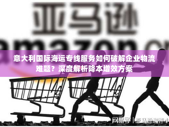 意大利国际海运专线服务如何破解企业物流难题?深度解析降本增效方案 意大利国际海运专线服务如何破解企业物流难题?深度解析降本增效方案