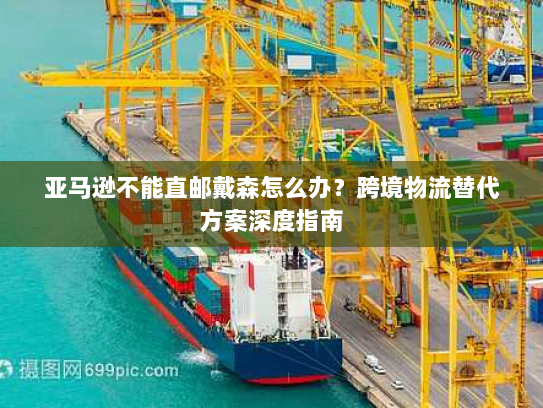 亚马逊不能直邮戴森怎么办?跨境物流替代方案深度指南 亚马逊不能直邮戴森怎么办?跨境物流替代方案深度指南