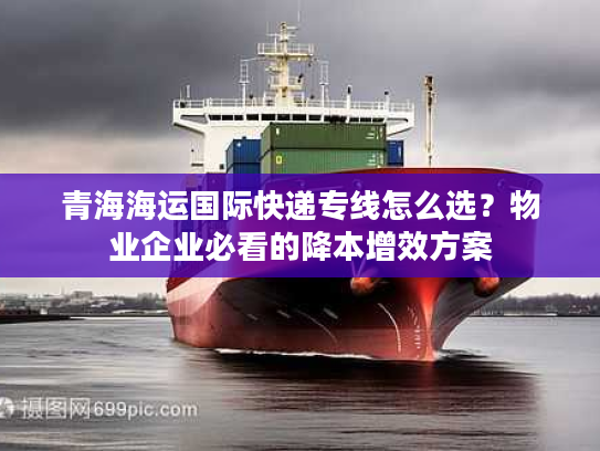 青海海运国际快递专线怎么选?物业企业必看的降本增效方案 青海海运国际快递专线怎么选?物业企业必看的降本增效方案