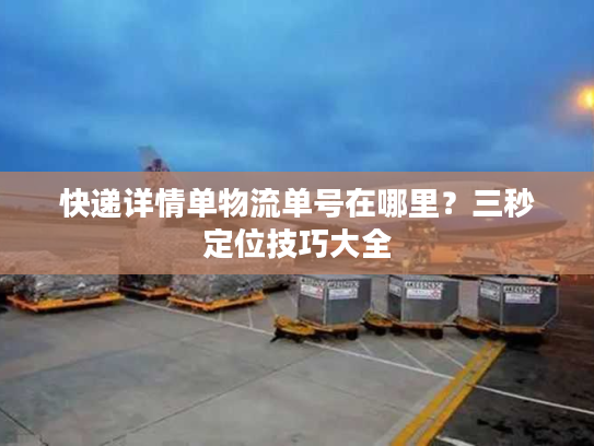 快递详情单物流单号在哪里?三秒定位技巧大全 快递详情单物流单号在哪里?三秒定位技巧大全