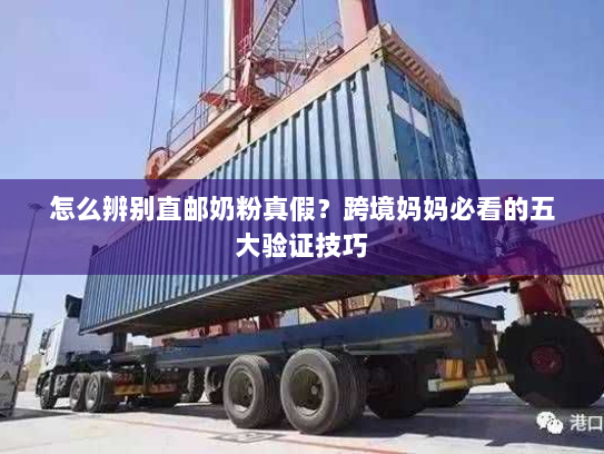 怎么辨别直邮奶粉真假?跨境妈妈必看的五大验证技巧 怎么辨别直邮奶粉真假?跨境妈妈必看的五大验证技巧