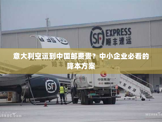 意大利空运到中国邮费贵?中小企业必看的降本方案 意大利空运到中国邮费贵?中小企业必看的降本方案