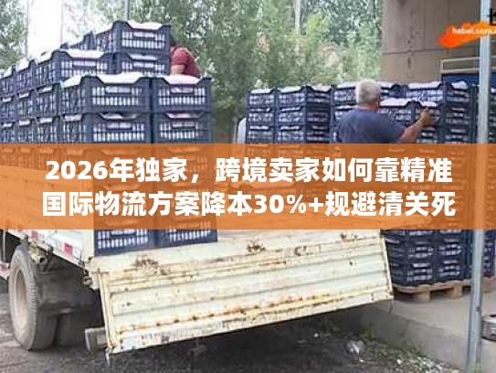 2026年独家，跨境卖家如何靠精准国际物流方案降本30%+规避清关死穴？