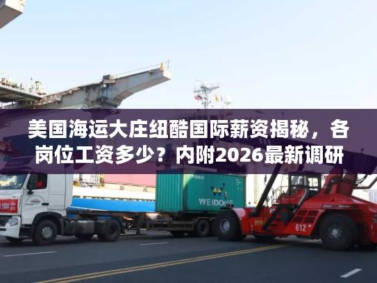 美国海运大庄纽酷国际薪资揭秘，各岗位工资多少？内附2026最新调研数据