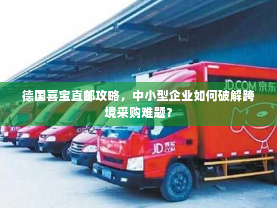 德国喜宝直邮攻略，中小型企业如何破解跨境采购难题？