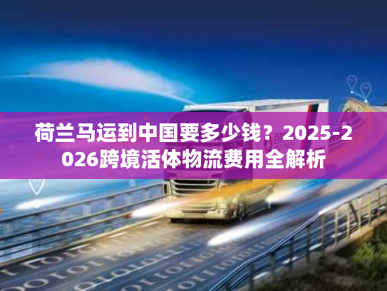 荷兰马运到中国要多少钱？2025-2026跨境活体物流费用全解析